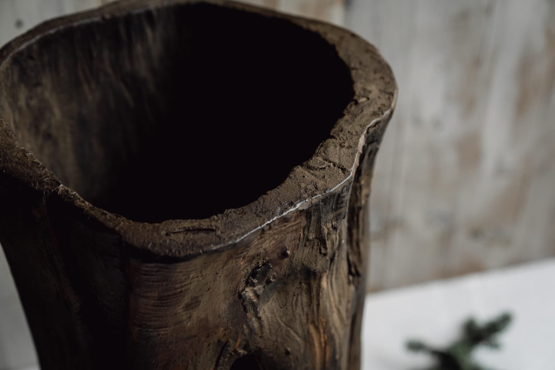 Rustic and Gnarly Dug Out Tree Planter