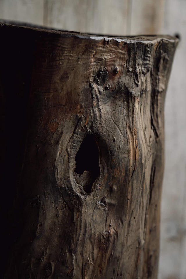 Rustic and Gnarly Dug Out Tree Planter