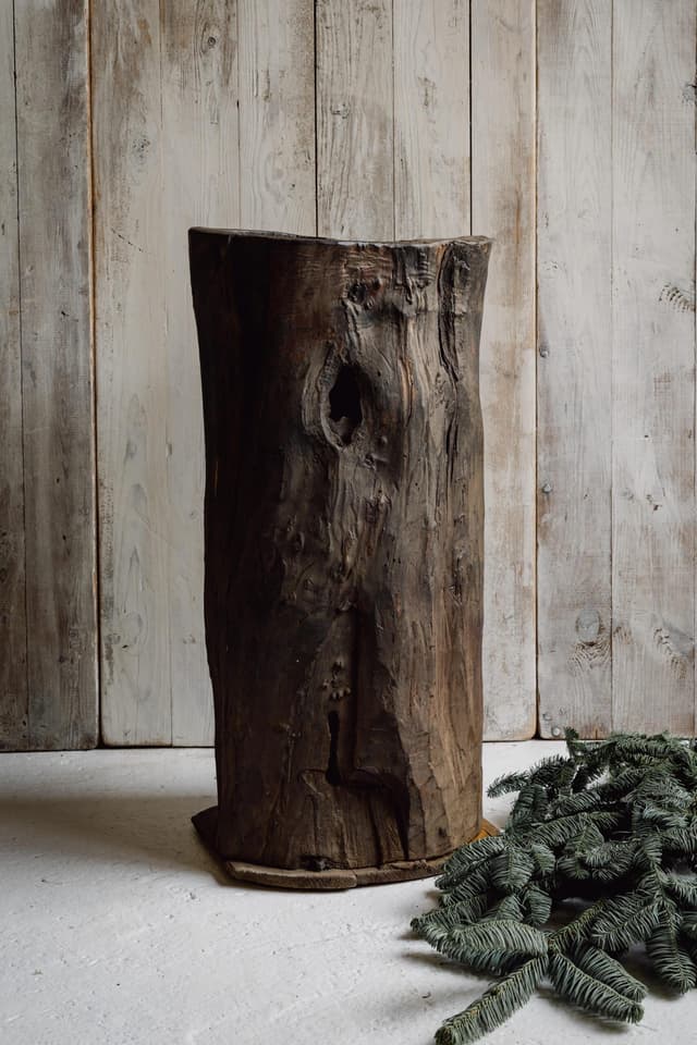 Rustic and Gnarly Dug Out Tree Planter