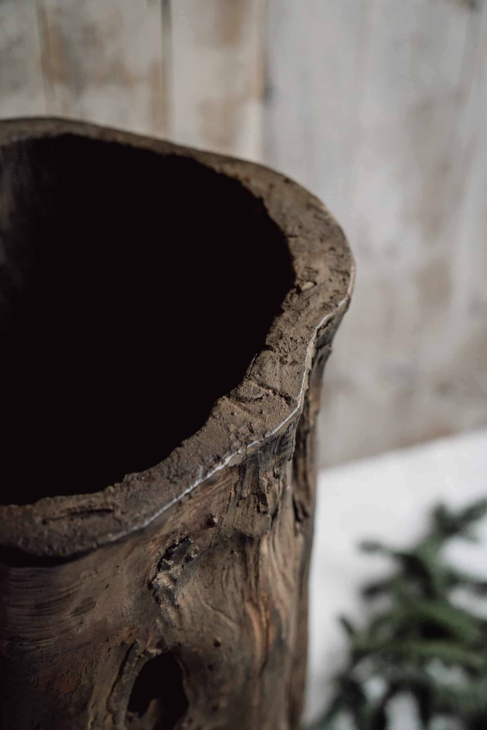 Rustic and Gnarly Dug Out Tree Planter