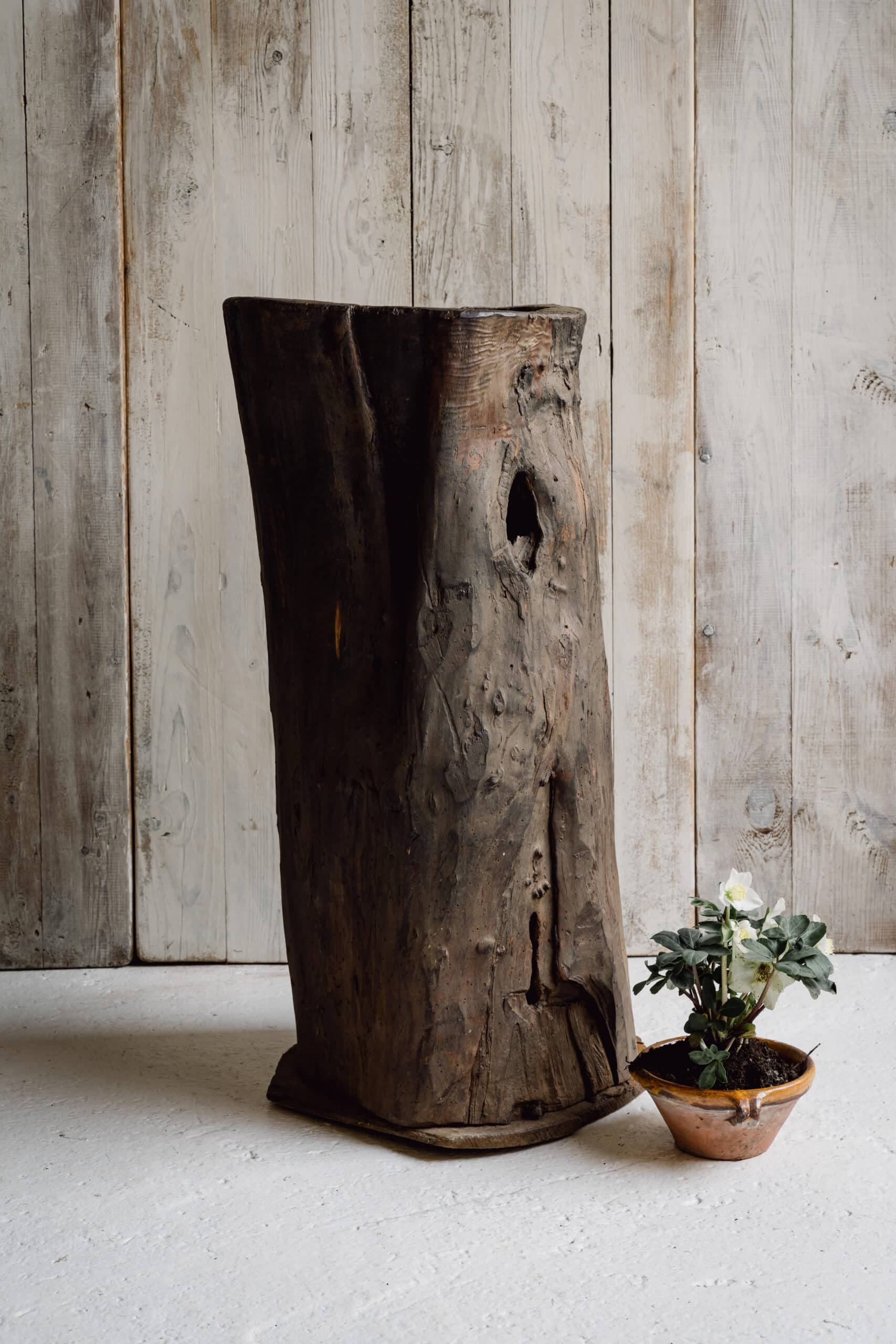 Rustic and Gnarly Dug Out Tree Planter