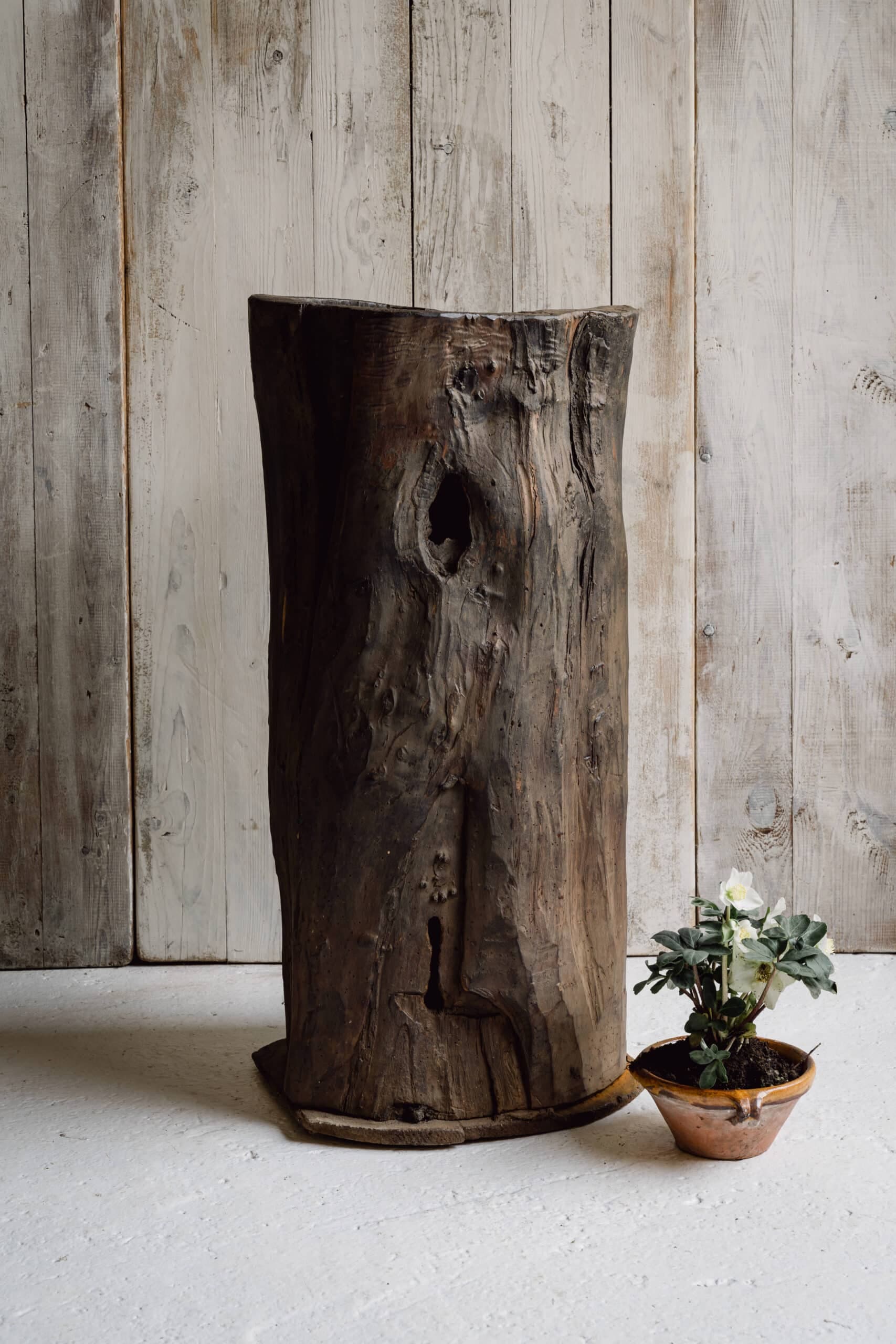 Rustic and Gnarly Dug Out Tree Planter