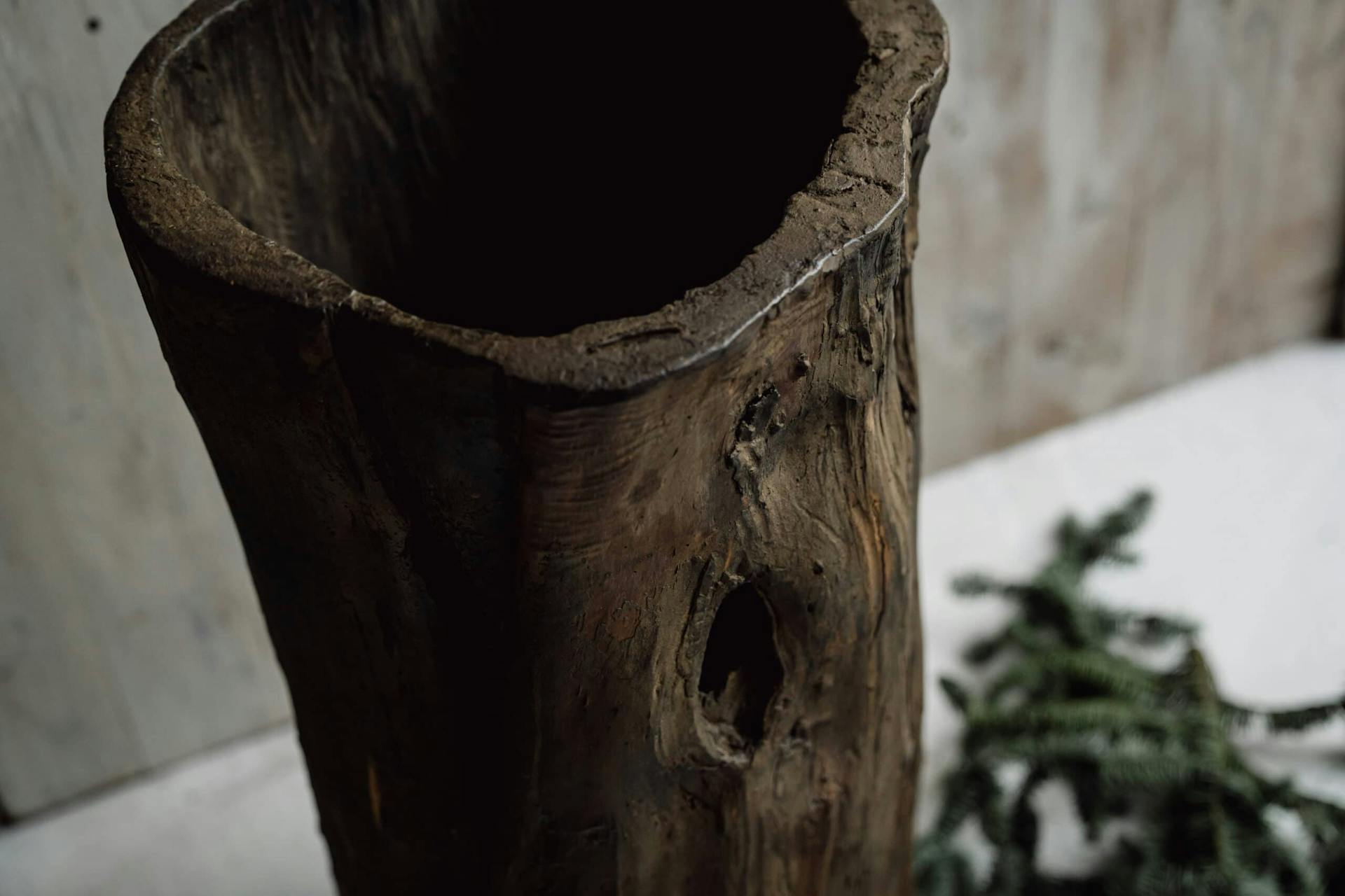 Rustic and Gnarly Dug Out Tree Planter