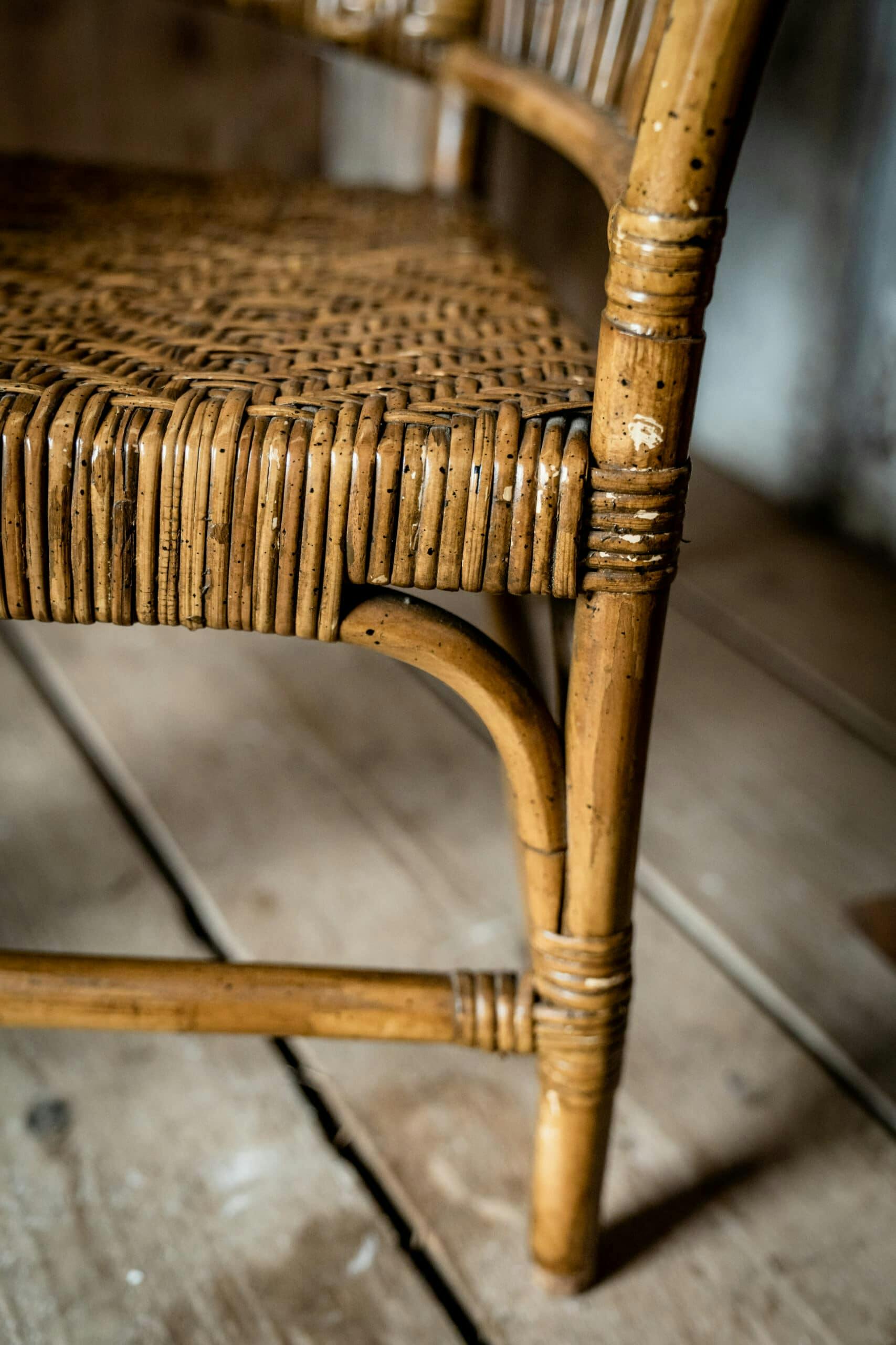 An Exceptional American Beech and Rattan Chair c.1900s