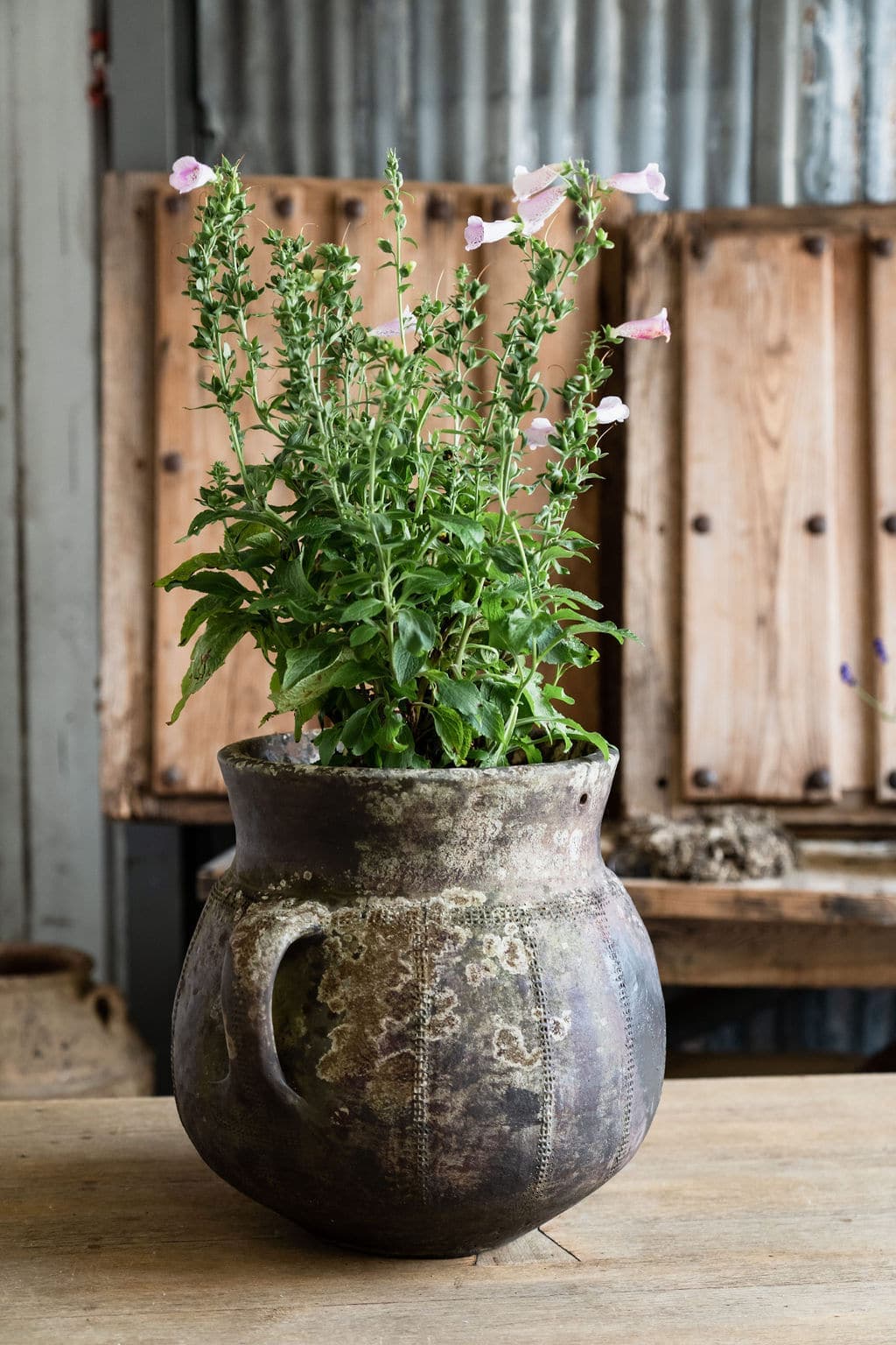 A large French 19th Century Salting Pot 