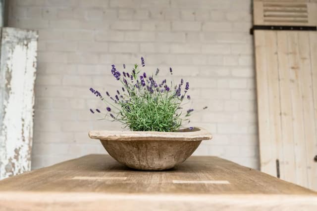 Impressive Solid Oak Monastery Table from South West France