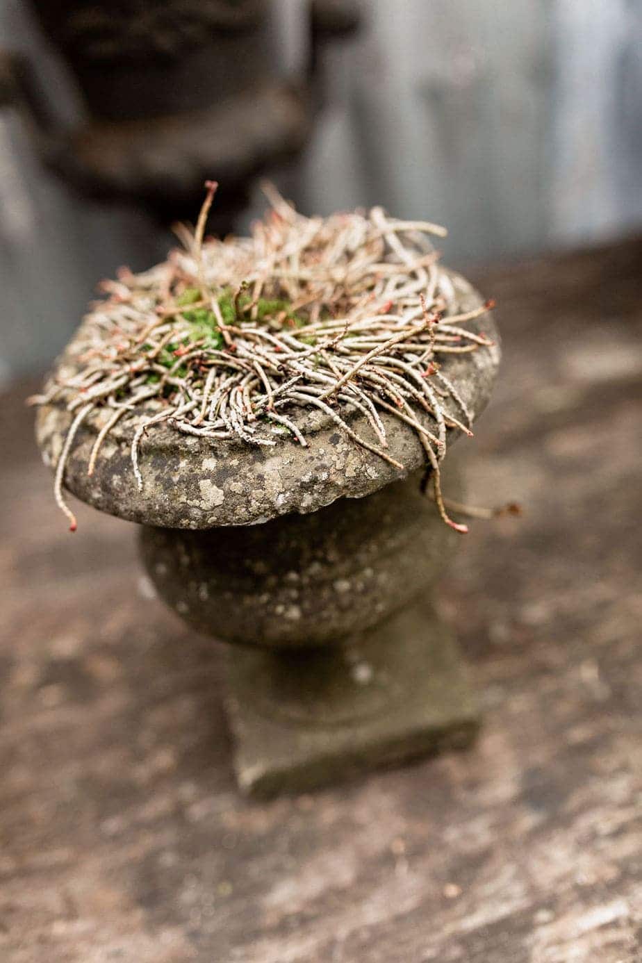 A Fabulous Collection of Antique Marble Urns