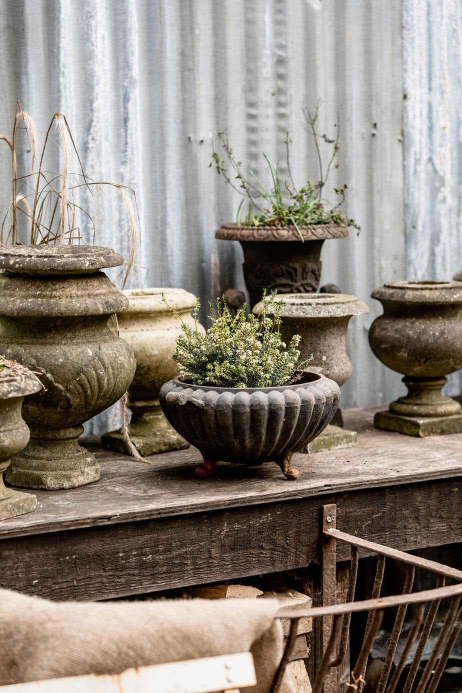 A Fabulous Collection of Antique Marble Urns