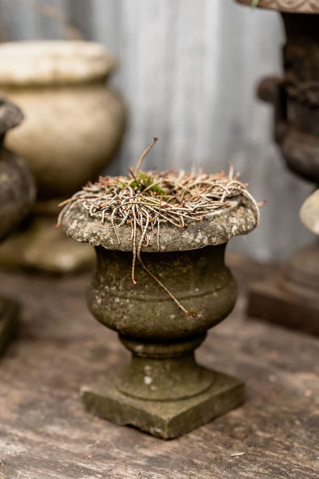 A Fabulous Collection of Antique Marble Urns