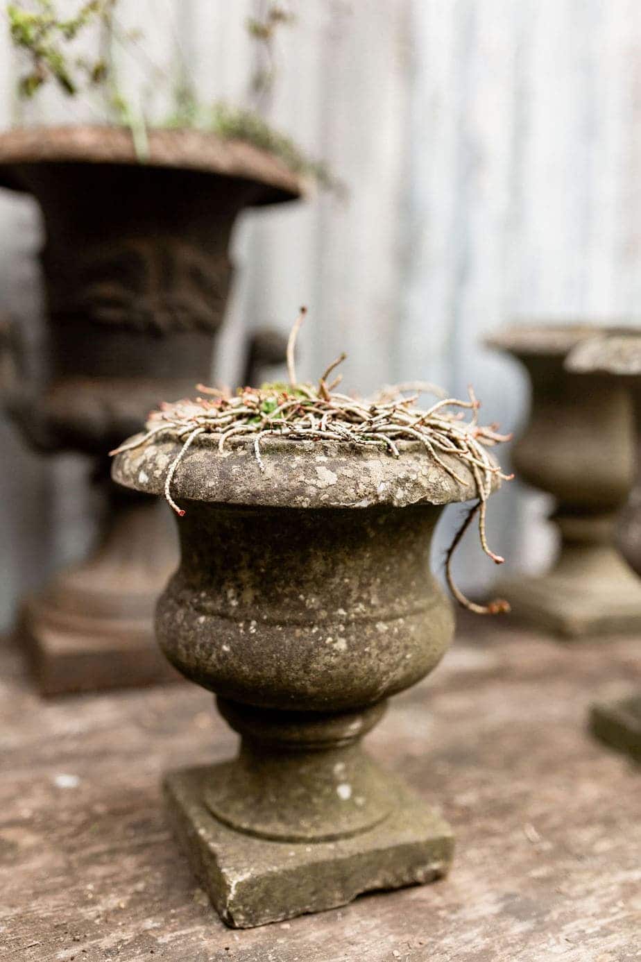 A Fabulous Collection of Antique Marble Urns