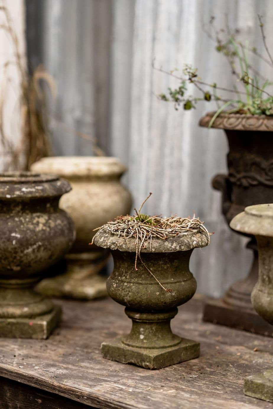 A Fabulous Collection of Antique Marble Urns