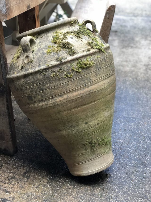 Lovely Old, Elegant Decorative Pot