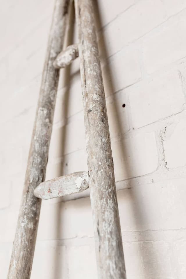 A Collection of Old French Orchard Ladders