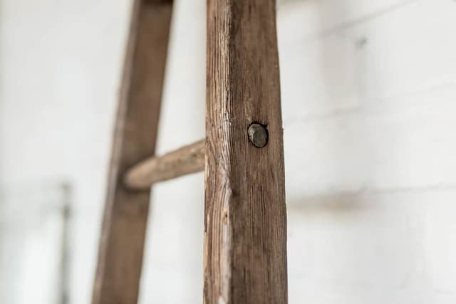 A Collection of Old French Orchard Ladders