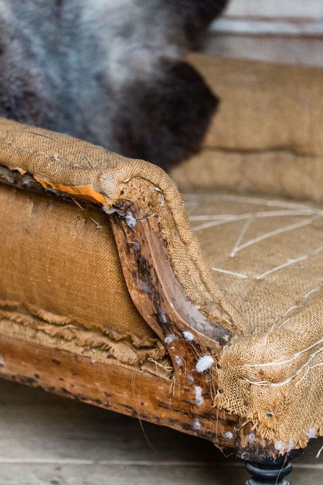 An Exceptional French Leather Club Chair