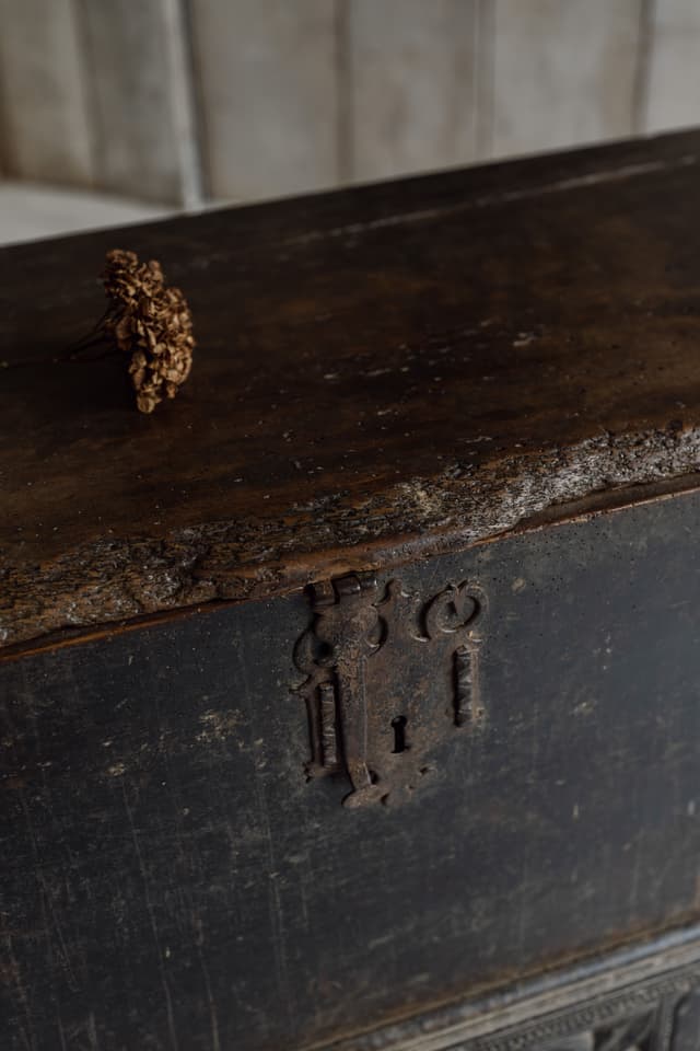 Incredible 16th Century Coffer from the Catalan Region