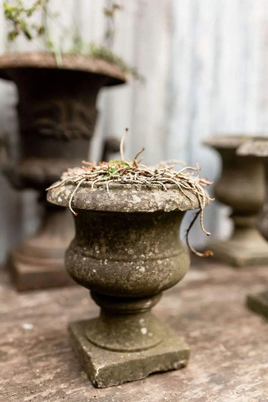 A Fabulous Collection of Antique Marble Urns
