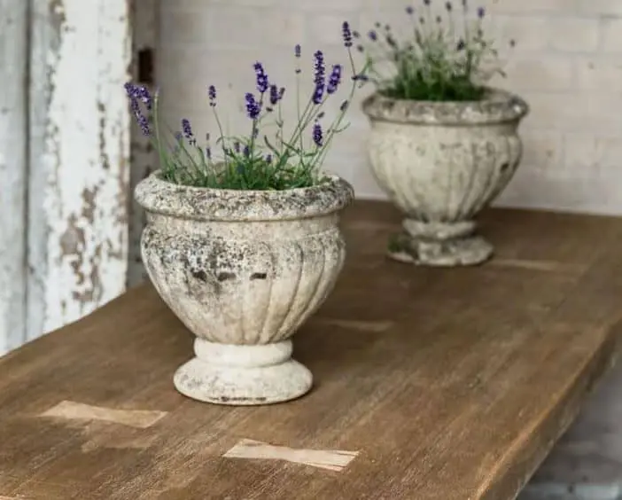 A Pair of French Stone Urns