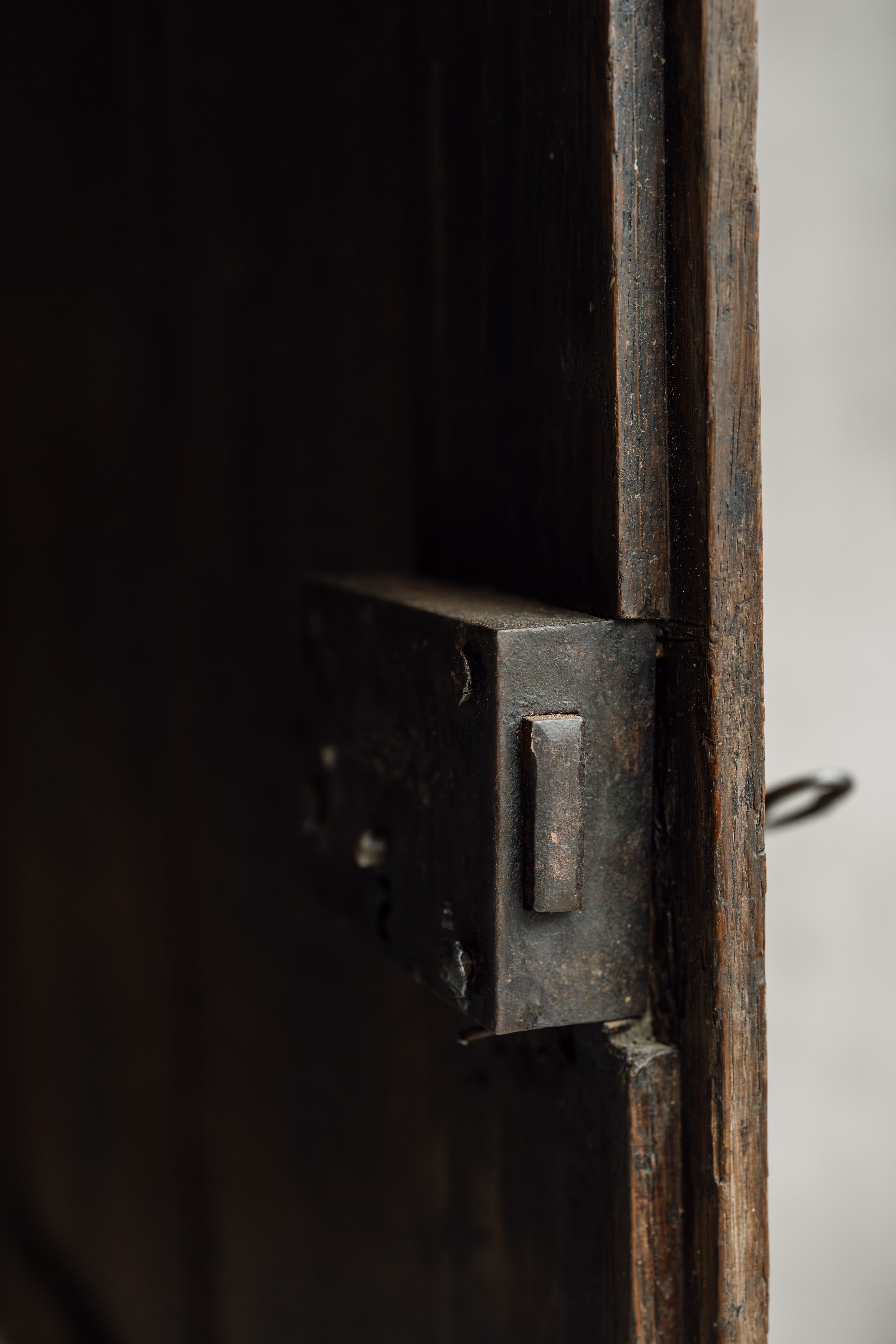 A Huge 19th Century French Oak Cupboard