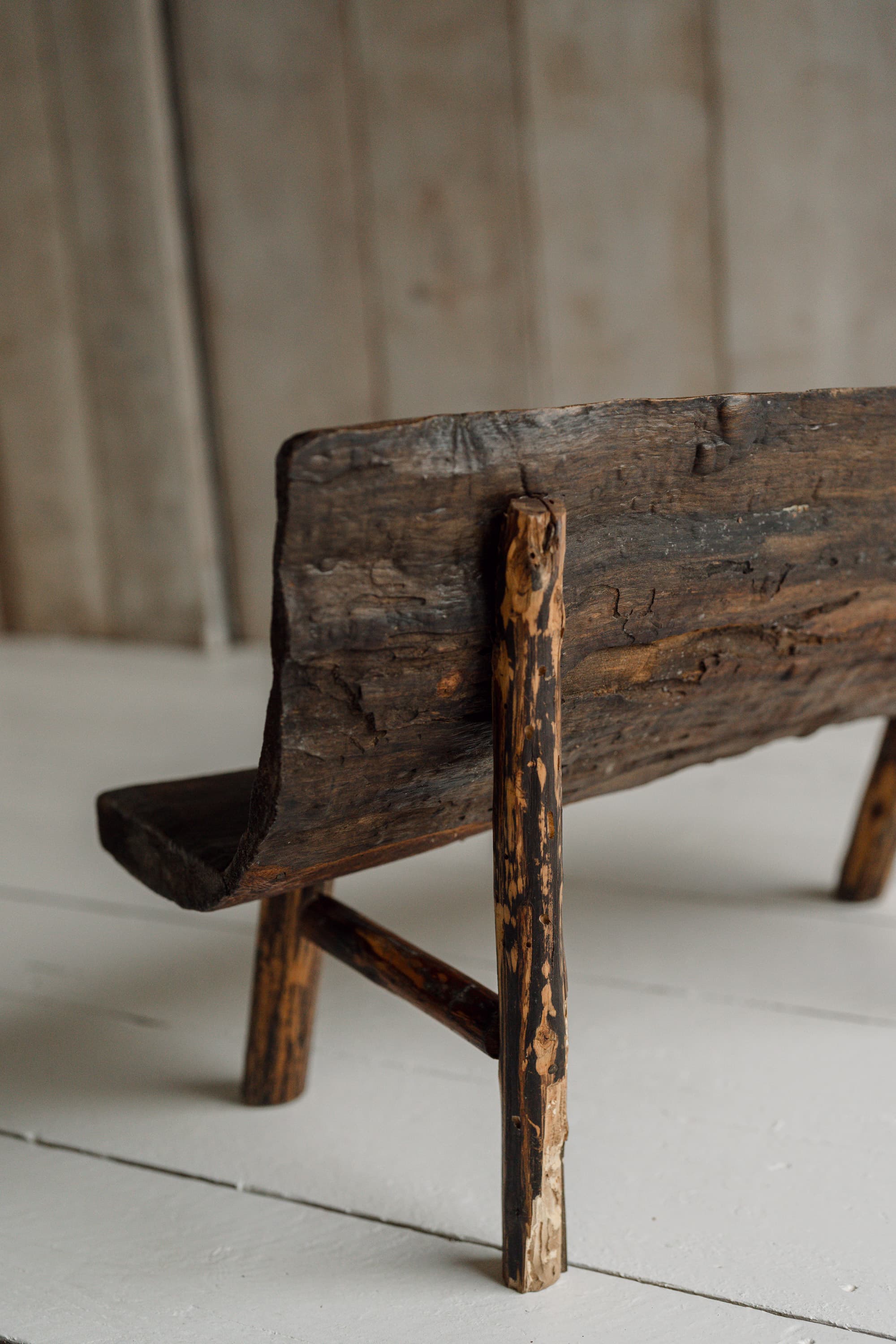 Primitive Monoxyl Bench, Savoie, 19th Century
